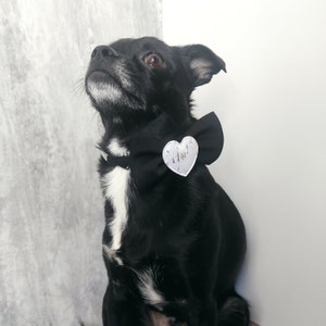 Pet bow tie black , pet accessory, wedding pet bow tie, pet bow tie for holiday, gift for pet, pet bow tie for ceremony, holiday pet bow tie