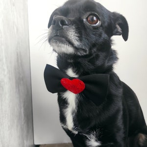 Pet bow tie black , pet accessory, wedding pet bow tie, pet bow tie for holiday, gift for pet, pet bow tie for ceremony, holiday pet bow tie