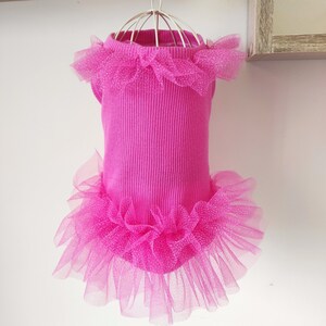 Peut inclure: Une robe rose vif pour chien, avec un corsage c&ocirc;tel&eacute; et une jupe en tulle superpos&eacute;e. La robe est orn&eacute;e d'une bordure en tulle scintillant autour de l'encolure et de la jupe. Le v&ecirc;tement est pr&eacute;sent&eacute; sur un cintre m&eacute;tallique.