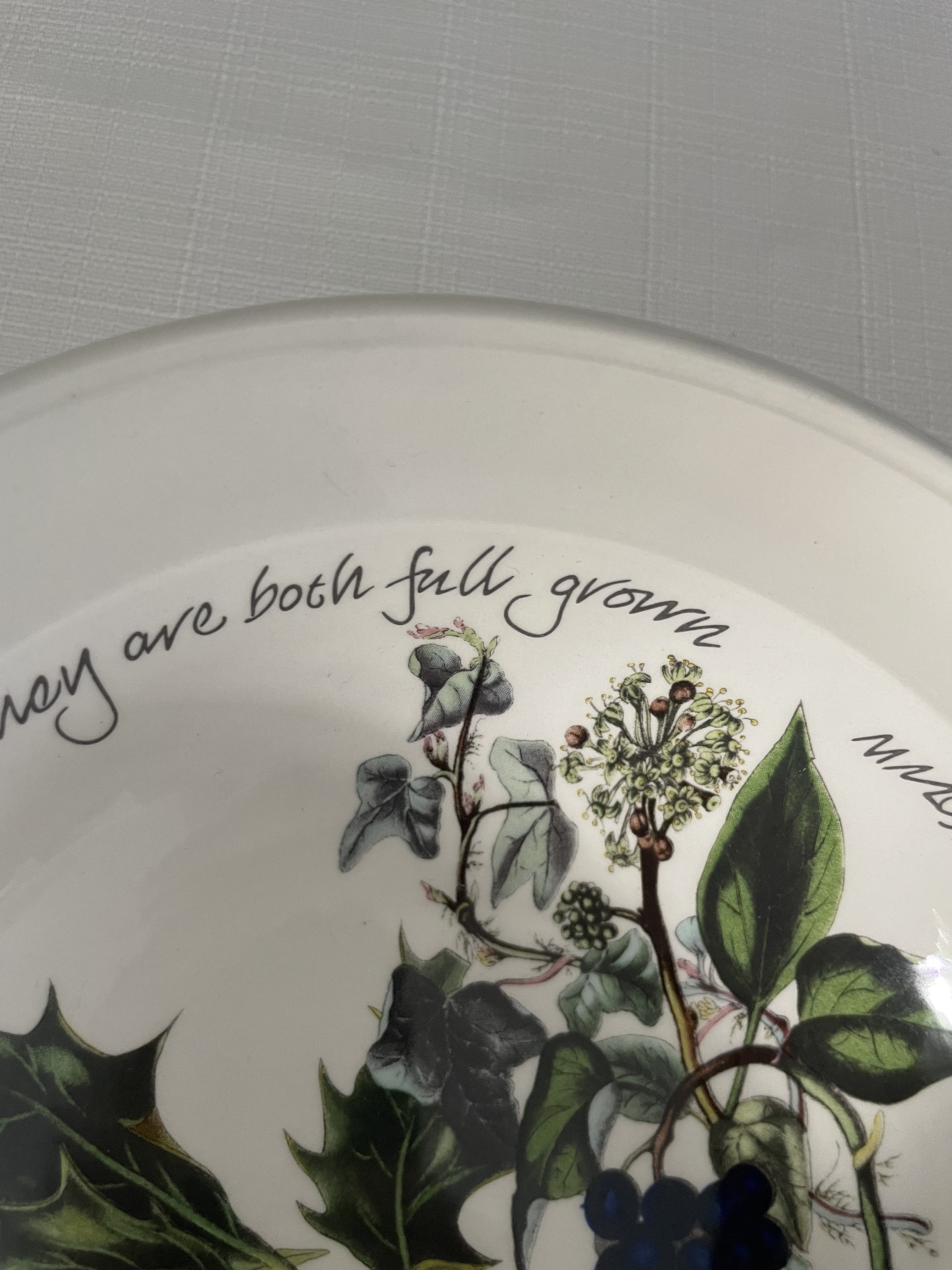 Portmeirion Holly & Ivy Oatmeal Bowls - Set Of 6 Christmas Holiday Dinnerware