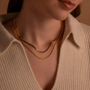 Layered Gold Chain Necklace Double Necklace Chain, Minimalist Duo Chain with Herringbone Chain And Rope Chain Necklace, Everyday Necklaces