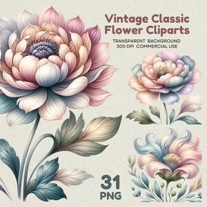 31 flores vintage PNG, corte quisquilloso, pegatina digital, scrapbooking, descarga digital, elegancia botánica atemporal, 31 PNG florales vintage