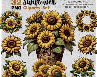 May include: A set of 32 digital clipart images featuring sunflowers in various arrangements. The sunflowers are drawn in a vintage style with detailed petals and leaves. The images are perfect for adding a touch of summer to your designs.