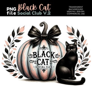 Op de afbeelding: Een zwarte kat zit naast een pastelroze en blauwe pompoen met een zwarte strik en de tekst "BLACK CAT - SOCIAL CLUB -" erop.