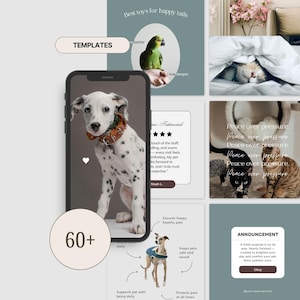 Pet Instagram Templates: Veterinary, Pet Shop Social Media Kit (Canva, Stock Photos Included)