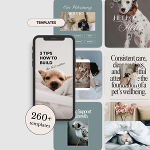 以下が含まれることがあります： 犬や猫の写真を使ったペットケア用のソーシャルメディアテンプレートのコレクションです。「Our Veterinary Services」、「3 Tips How to Build」、「Best toys for happy tails」などのテキストが含まれています。カラーパレットはソフトで、くすんだグリーンとベージュです。