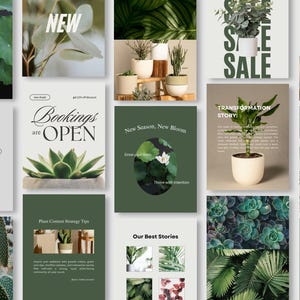 Puede incluir: Una colección de imágenes con temática botánica. Las imágenes presentan plantas, suculentas y arreglos florales. El texto incluye "Hello", "New", "Sale", "Bookings are Open" y "Transformation Story". La paleta de colores es verde y blanco.