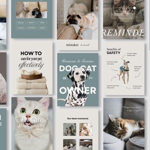 K&ouml;nnte beinhalten: Eine Sammlung von Grafiken zum Thema Haustierpflege mit Bildern von Hunden und Katzen. Die Grafiken enthalten Texte wie "Wie Sie Ihr Haustier effektiv pflegen", "Hunde-Katzen-Besitzer" und "Haustierpflege, arbeiten Sie intelligenter". Die Farbpalette ist weich, mit ged&auml;mpften Gr&uuml;n- und Wei&szlig;t&ouml;nen.