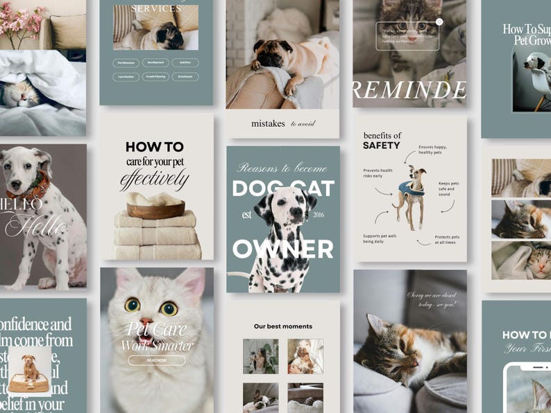 K&ouml;nnte beinhalten: Eine Sammlung von Grafiken zum Thema Haustierpflege mit Bildern von Hunden und Katzen. Die Grafiken enthalten Texte wie "Wie Sie Ihr Haustier effektiv pflegen", "Hunde-Katzen-Besitzer" und "Haustierpflege, arbeiten Sie intelligenter". Die Farbpalette ist weich, mit ged&auml;mpften Gr&uuml;n- und Wei&szlig;t&ouml;nen.