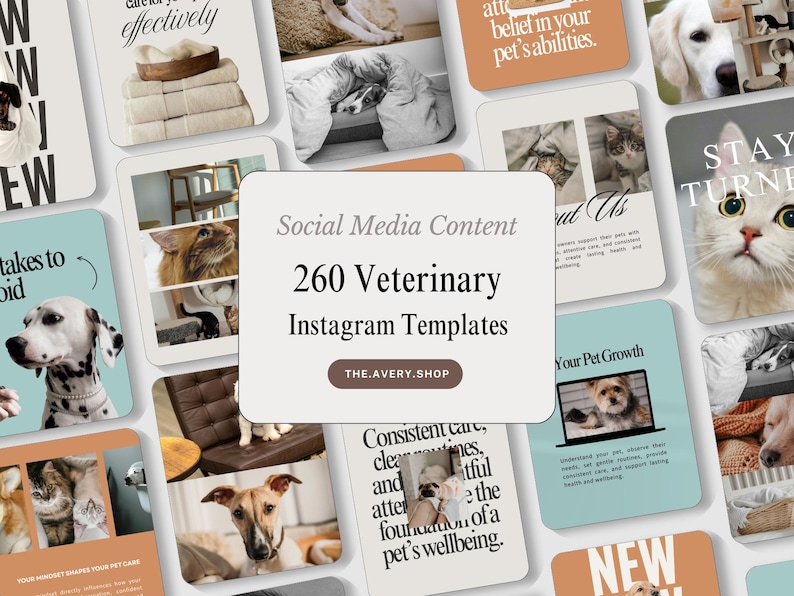 Pode incluir: Um conjunto de modelos de m&iacute;dia social para pr&aacute;ticas veterin&aacute;rias. A imagem apresenta v&aacute;rios modelos quadrados com imagens de animais de estima&ccedil;&atilde;o, texto e o texto "260 Veterinary Instagram Templates" e "THE.AVERY.SHOP".