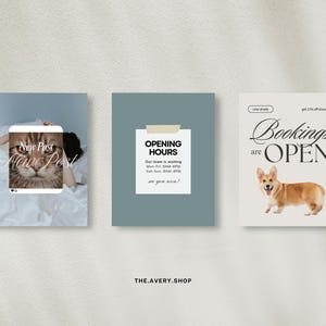 K&ouml;nnte beinhalten: Drei quadratische Social-Media-Posts. Einer zeigt eine Katze mit dem Text "New Post". Ein anderer sagt "Opening Hours" mit Gesch&auml;ftszeiten. Der letzte sagt "Bookings are OPEN" mit einem Corgi-Hund.