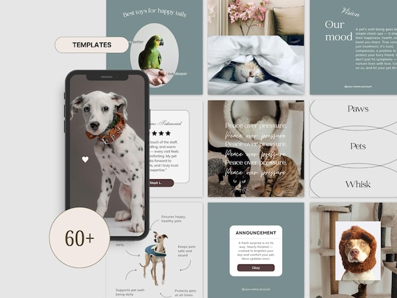 Pet Instagram Templates: Veterinary, Pet Shop Social Media Kit (Canva, Stock Photos Included)
