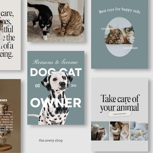 May include: A series of social media posts with pet-related themes. Images include cats, dogs, and text such as "Reasons to become a Dog Cat Owner" and "Take care of your animal."