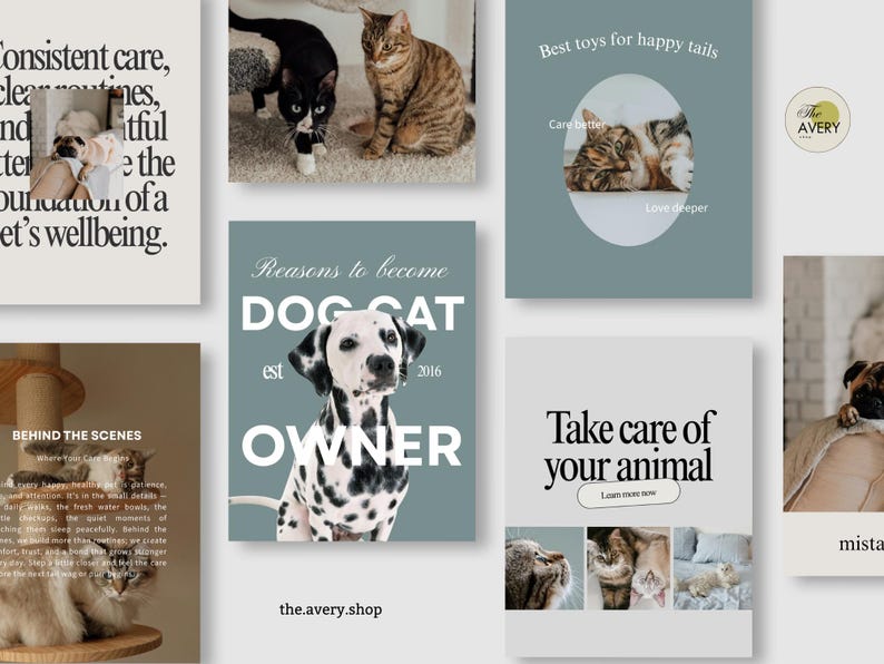 May include: A series of social media posts with pet-related themes. Images include cats, dogs, and text such as "Reasons to become a Dog Cat Owner" and "Take care of your animal."