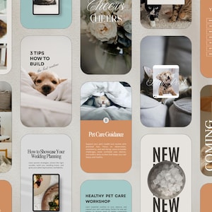 Pode incluir: Uma colagem digital com imagens de gatos e c&atilde;es, e elementos de texto. O texto inclui "3 dicas para construir a melhor rotina", "Orienta&ccedil;&atilde;o sobre cuidados com animais de estima&ccedil;&atilde;o" e "Workshop de cuidados com animais de estima&ccedil;&atilde;o saud&aacute;veis".