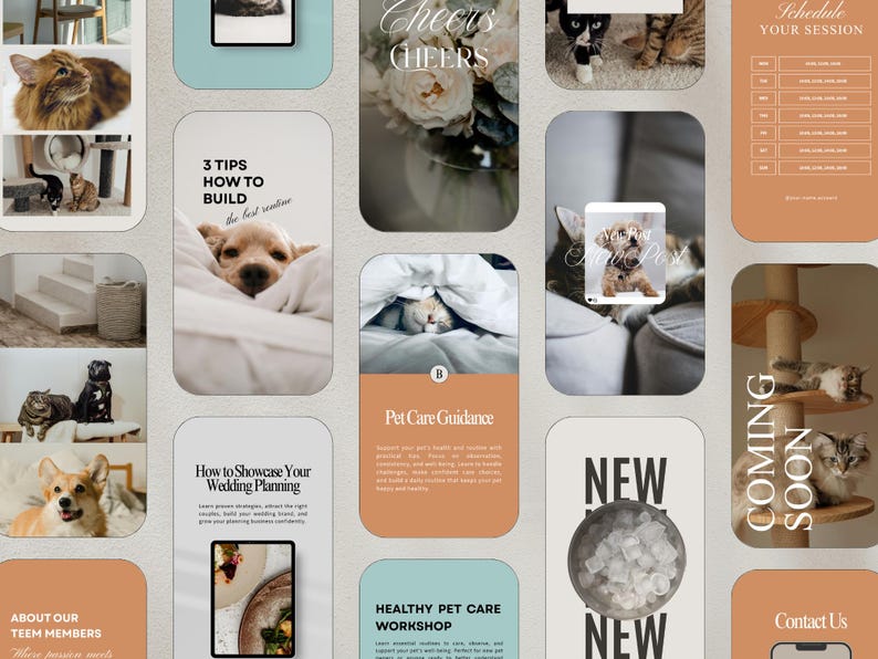 Pode incluir: Uma colagem digital com imagens de gatos e c&atilde;es, e elementos de texto. O texto inclui "3 dicas para construir a melhor rotina", "Orienta&ccedil;&atilde;o sobre cuidados com animais de estima&ccedil;&atilde;o" e "Workshop de cuidados com animais de estima&ccedil;&atilde;o saud&aacute;veis".