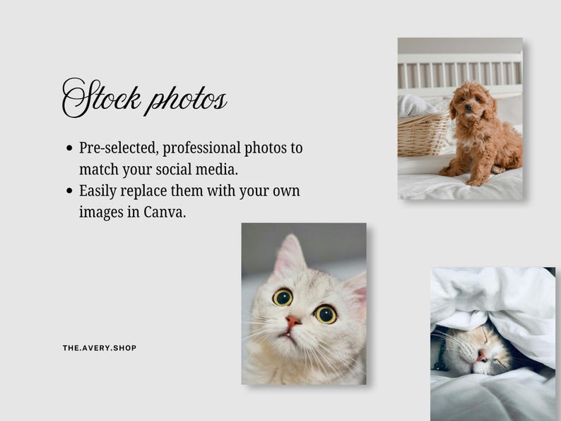 Pode incluir: Fundo cinza claro com o texto "Stock photos" em fonte cursiva. O texto abaixo diz "Fotos profissionais pr&eacute;-selecionadas para combinar com suas m&iacute;dias sociais" e "Substitua-as facilmente por suas pr&oacute;prias imagens no Canva." Imagens de c&atilde;o, gato e gato dormindo.