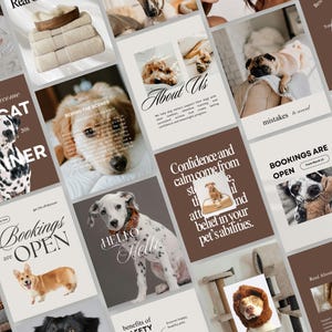 Peut inclure: Une collection de graphiques pour réseaux sociaux présentant diverses races de chiens, dont un dalmatien, un golden retriever et un corgi, avec des textes superposés tels que 'Bookings are open', 'About Us' et 'Reasons to become a dog trainer'.