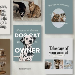 K&ouml;nnte beinhalten: Eine Collage mit Grafiken zum Thema Haustiere. Eines zeigt einen Dalmatiner mit dem Text "Dog Cat Owner". Ein anderes sagt "Best toys for happy tails". Weitere Grafiken zeigen Katzen und Text &uuml;ber die Pflege und das Wohlbefinden von Haustieren.