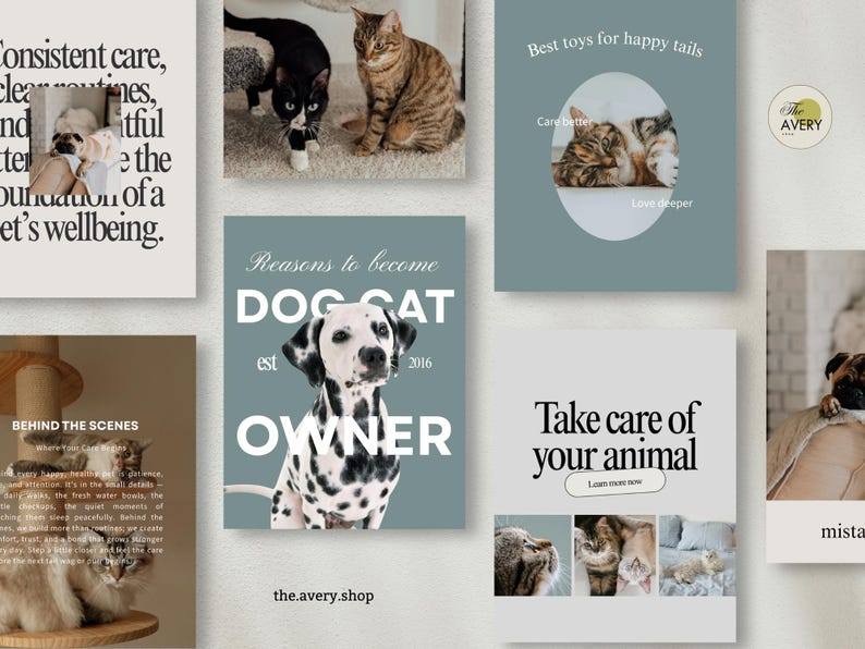 K&ouml;nnte beinhalten: Eine Collage mit Grafiken zum Thema Haustiere. Eines zeigt einen Dalmatiner mit dem Text "Dog Cat Owner". Ein anderes sagt "Best toys for happy tails". Weitere Grafiken zeigen Katzen und Text &uuml;ber die Pflege und das Wohlbefinden von Haustieren.
