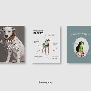 May include: Three square posters with pet themes. The first shows a Dalmatian with the word "Hello" in script. The second highlights pet safety with a dog illustration. The third shows a parrot with the text "Best toys for happy tails."