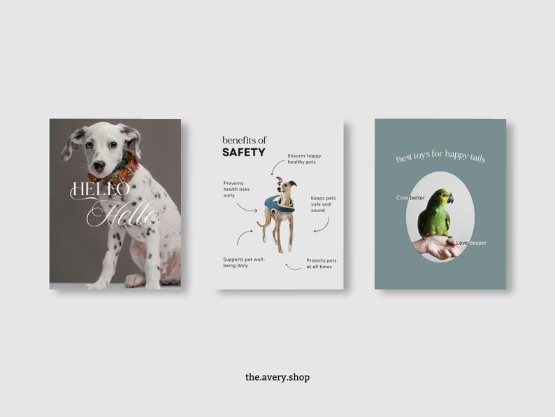 May include: Three square posters with pet themes. The first shows a Dalmatian with the word "Hello" in script. The second highlights pet safety with a dog illustration. The third shows a parrot with the text "Best toys for happy tails."