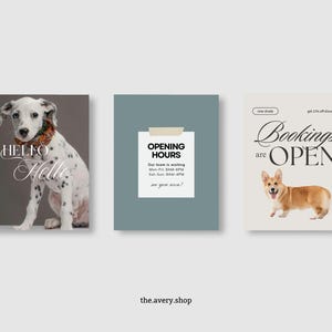 May include: Three promotional cards with pet-themed designs. One features a Dalmatian with the word "Hello" in script. Another displays "Opening Hours" on a teal background. The last card shows a Corgi with "Bookings are Open".