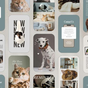 K&ouml;nnte beinhalten: Eine Collage von Bildern mit Haustieren, darunter Hunde und Katzen, mit Text&uuml;berlagerungen. Die Bilder zeigen einen Dackel in einer Tasche, einen Dalmatiner und eine Katze. Der Text enth&auml;lt "Client Review", "Healthy Pet Care Workshop" und "Contact Us".