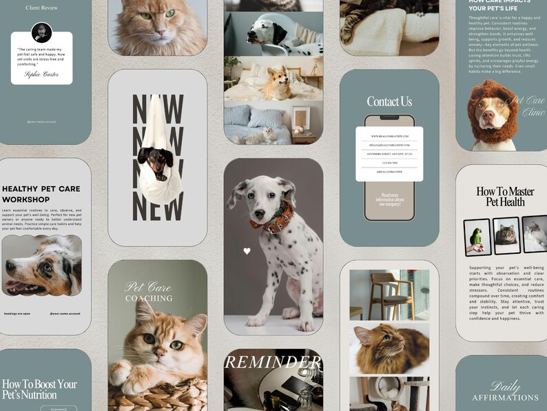 K&ouml;nnte beinhalten: Eine Collage von Bildern mit Haustieren, darunter Hunde und Katzen, mit Text&uuml;berlagerungen. Die Bilder zeigen einen Dackel in einer Tasche, einen Dalmatiner und eine Katze. Der Text enth&auml;lt "Client Review", "Healthy Pet Care Workshop" und "Contact Us".