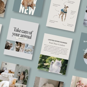 May include: A selection of promotional cards featuring pets, such as cats and dogs. The cards display text like "Take care of your animal" and "Find Their Comfort". The theme is focused on pet care and well-being.