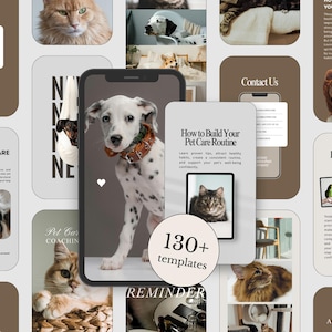 May include: A set of social media templates for pet care, showcasing images of cats and dogs. The templates include text such as "Healthy Pet Care Workshop", "How to Build Your Pet Care Routine", and "130+ templates".