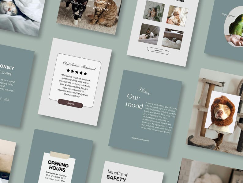 May include: A selection of promotional materials featuring images of pets, including cats and dogs. The materials display text such as "Peace over pressure", "Our mood", and a customer review with five stars.