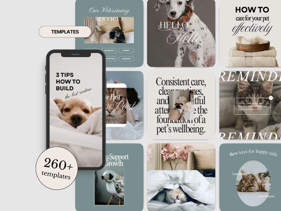 Mega Pack Pet Veterinary Social Media Templates Bundle, Pet Shop Instagram Post & Story Templates, Pet Business Marketing Kit, Animal Clinic