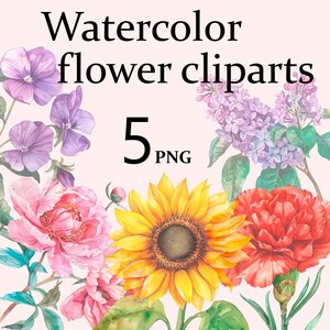 Blumen Aquarell Clipart, Pfingstrose lila rot Nelke Sonnenblume Violett, transparenter Hintergrund, ästhetischer Druck, Blumen Png, blühende Pflanze