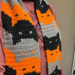 3-Colored Cat Scarf