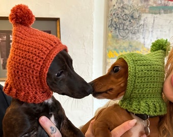 Patron de capuche pour chien au crochet