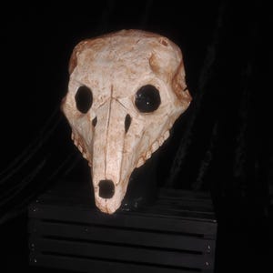 May include: A beige and brown animal skull mask featuring large, hollow, dark eye sockets and a long, narrow snout with a square nasal opening. The surface has a textured, weathered appearance with visible cracks and bone-like contours.