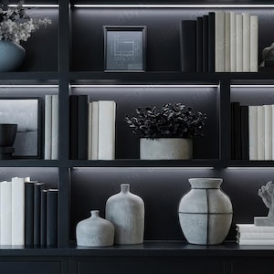 Modernes dunkles Bücherregal Zoom Hintergrund | Monochrome Office Virtuelle Kulisse | Teams Hintergrund | Digitaler Download | Minimalistische Bibliothek