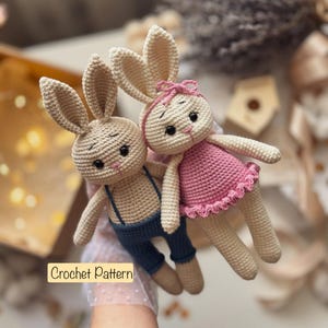 Bunny Crochet Pattern 2in1, Boy and Girl Crochet Bunny, Bunny amigurumi tutorial, Crochet rabbit pattern, Rabbit Pattern, PdF Eng
