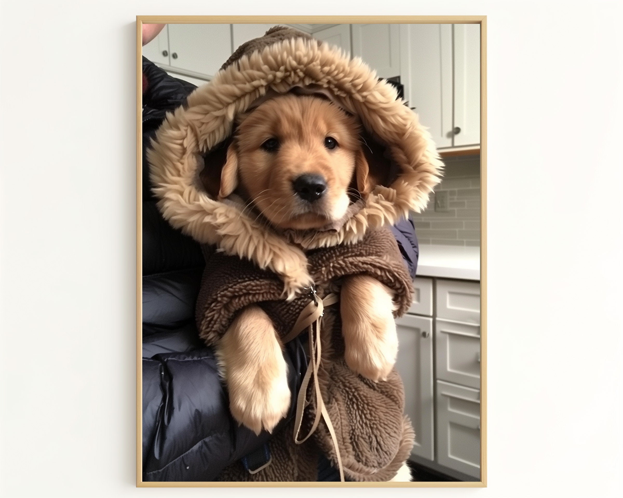 Chilly Dog Coats Etsy UK