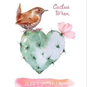 11”x14” Digital Download Arizona State Bird Cactus Wren - Desert Gift Art Tucson Phoenix Southwest