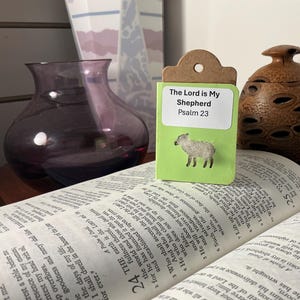 20 schriftkaart 'Psalm 23 - Lord is my Shepherd', met uitgesneden met echte wol gevulde schapen