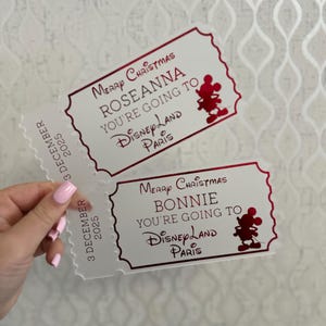 Personalized Acrylic Disneyland Ticket | Surprise Trip Reveal, Keepsake Gift image 12