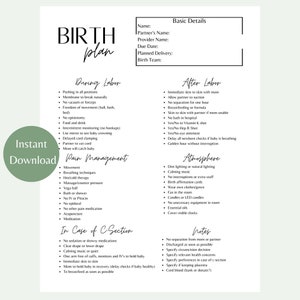 Editable Birth Plan Template | Birth Preferences | Printable Birth Plan | Birth Plan Template Simple | Customizable Birth Plan Template |