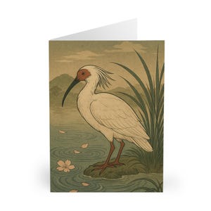 Ibis japonais huppé, élégantes cartes de voeux inspirées de la nature (paquet de 5) pour toutes les occasions, notes manuscrites, voeux d'anniversaire, cartes de remerciement