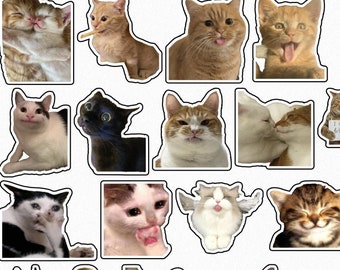 Cat stickers cute 5/10/20/50  For Laptop, Luggage, Water Bottle, phone, desks & notepad Waterproof. Sold Randomly