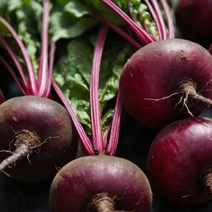 Detroit Dark Red Beets - 50 Heirloom Seeds