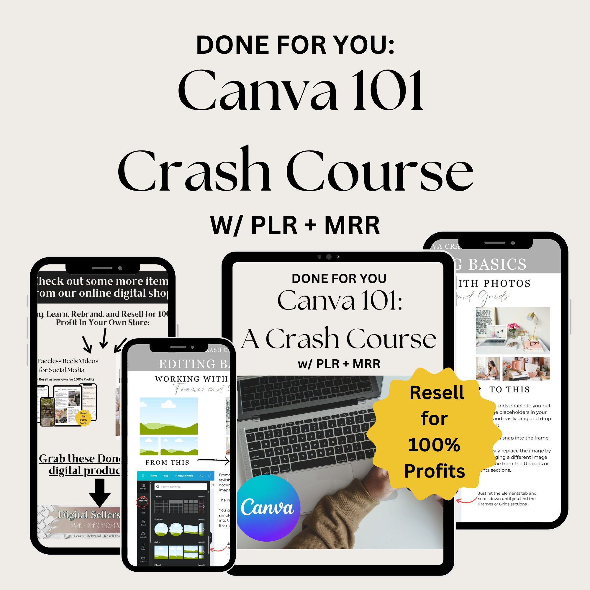 Canva Crash Course + Master Resell Rights MRR and Private Label Rights ...