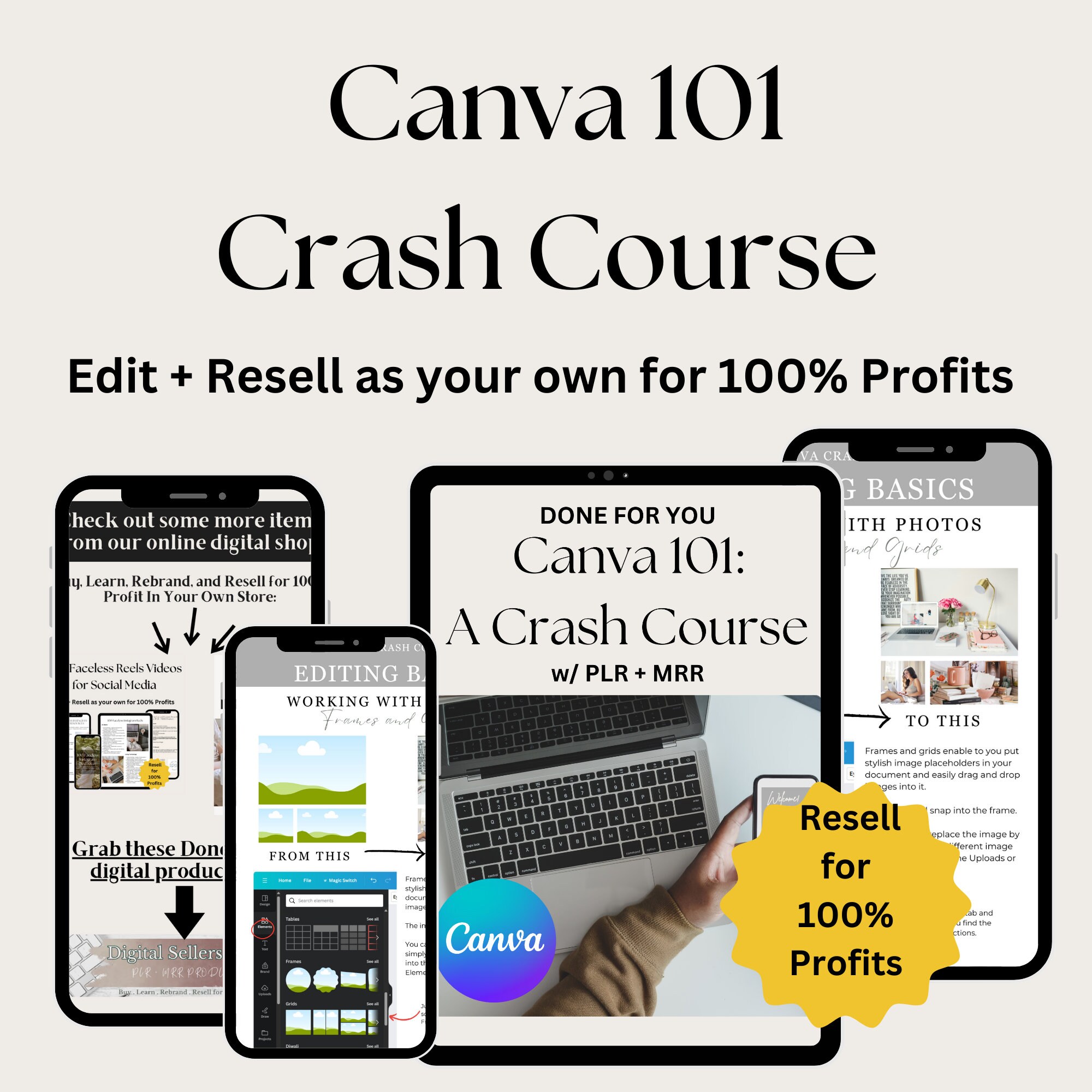 Canva Crash Course + Master Resell Rights MRR and Private Label Rights ...