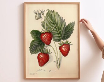 Strawberry Wall Art Cottagecore Print Wild Berry Painting Woodland Nursery Art Wildflower Nursery Print Vintage Strawberry Poster